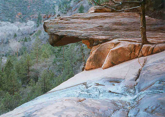 Nrodn park Zion - Utah, USA